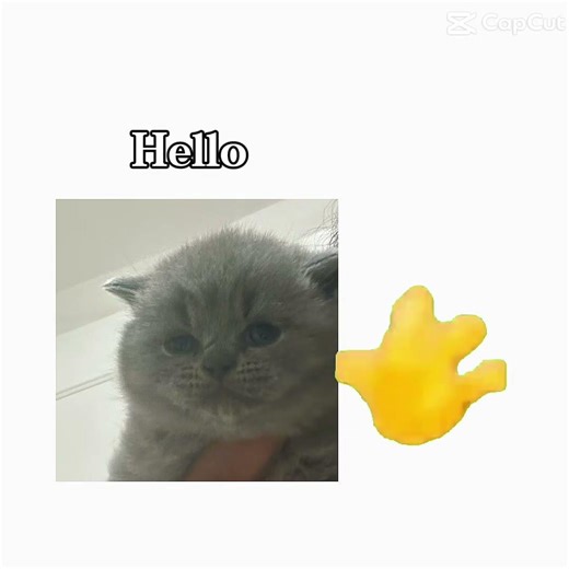 Hello trend
