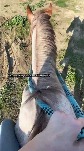 Barebacking to the field :)