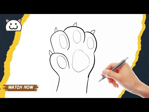 How to Draw Cat Paw