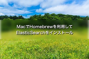 Elasticsearch Mac