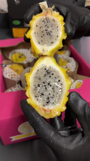 Premium Yellow Dragonfruit from Colombia