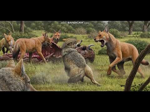 Dire Wolf Sounds