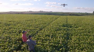 35 reactions | Innovate for agriculture's future with BASF. Join us in empowering farmers across New Zealand and the world. #ForTheLoveOfFarming #BASFinAg #BiggestJobOnEarth | BASF Agricultural Solutions | Facebook