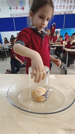 When an Orange Got Trapped in a Glass… No One Could Believe What Happened Next! 😱🍊 #shorts #viral