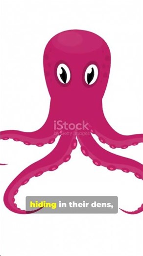 🐙 You Won’t Believe This Octopus Tantrum! #octopus #animals #wildlife #didyouknow #shortvideo