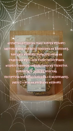 Ageratina altissima (Biały korzeń wężowy) Zastosowania: Herbata z korzenia na biegunkę, kamienie nerkowe, gorączkę; okład na ukąszenia węży; dym z liści do ożywiania nieprzytomnych. Zawiera toksynę tremetol powodującą chorobę mleczną. Receptura: Herbata z korzenia (1 g na szklankę, parzyć 15 min) na problemy nerkowe | Zielarstwo