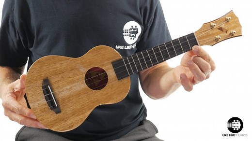 Unbiased Rebel Ukulele Review 2026 - Uke Like The Pros Blog