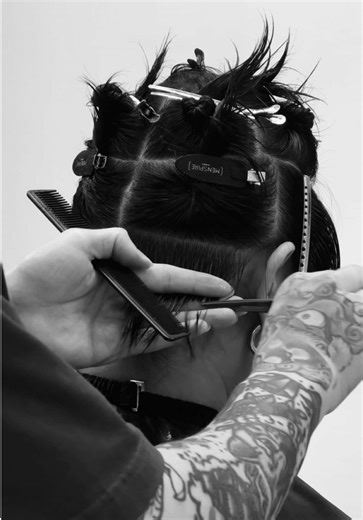 Segmented Horizontal Cutting Techniques for Barbers