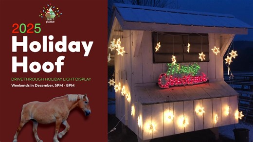 68K views · 608 reactions | ✨ Make memories that shine! The Holiday Hoof is back — a magical drive-through light display filled with twinkling lights, festive cheer, and gentle giant draft horses.   Fridays, Saturdays & Sundays in December, 5–8 PM  Draft Gratitude • Winchester, NH ️ $20 per car — proceeds help senior horses enjoy a safe retirement. | Draft Gratitude | Facebook
