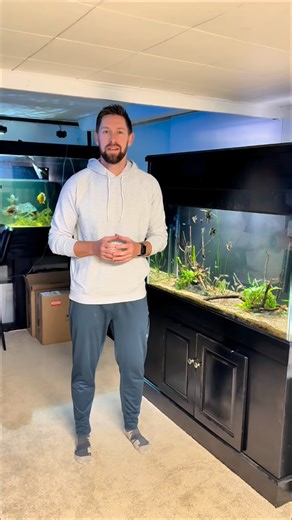 Some much needed changes and improvements to the 90 gallon tank. Adding some new fish and upgrading filters with new filter floss and Brightwell Bio Cubes @brightwellaquatics | Cichlid Bros