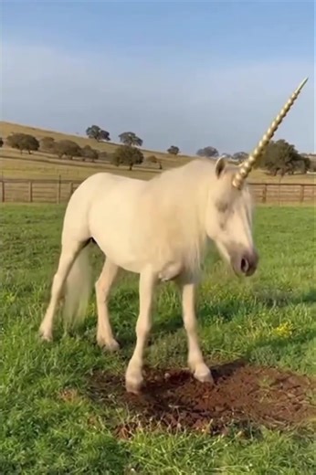 Exploring Mythical Creatures: Banshee, Kraken, and More