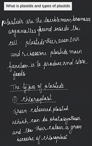What is plastids and types of plastids... | Filo