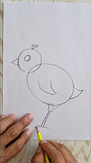 How to Draw a Cute Bird | Easy Step by Step Drawing for Beginners