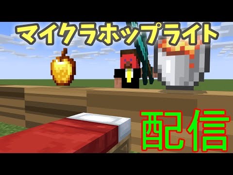 マイクラホップライト配信