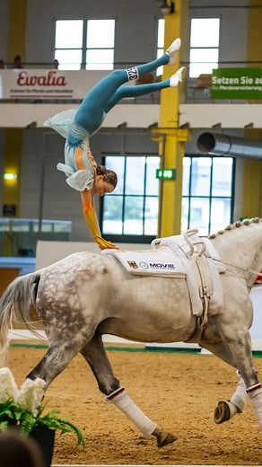 A bit of everything from today 🤩 From compulsories to freestyle and a few behind-the-scenes moments: here’s a glimpse of what made the day in Stadl-Paura special. We’re back tomorrow to capture even more. Finals are just around the corner! Tomorrow the first new World Champions will be crowned in the Junior Male Individual category 🏆 #vaultingworld #stadlpaura #vaulting #stadlpaura2025 | Vaulting World