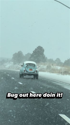 Austin "Tex" Swanger on Instagram: "Drivin old cars like they were meant to be driven. #vw #vwbug #beetle #driver #vintage"