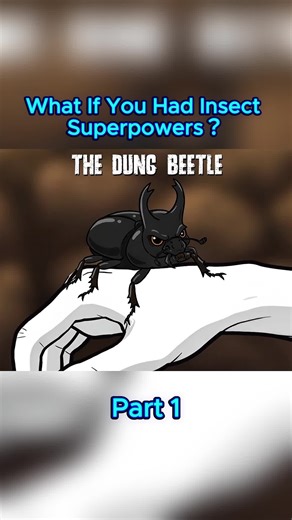 Exploring Insect Superpowers: A Fun Animation