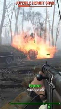 The ONLY Fallout 4 Mod I CAN'T play WITHOUT! Mutant Menagerie LIFE FINDS A WAY #fallout4