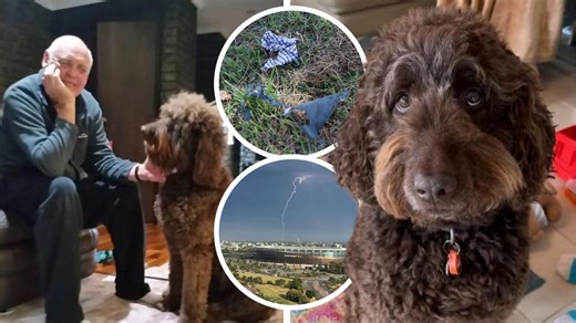 "Lightning strikes three people and cancels trains during peak hour” with Ben O'Shea