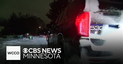 Woman, young boy killed in Lexington, Minnesota