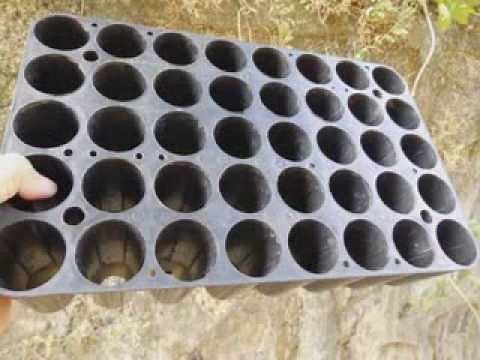 how to use root trainer seed trays