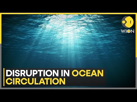 Climate Change disrupts ocean circulation, breakdown could disrupt global ecosystem | WION
