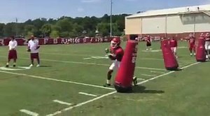 49K views · 1K reactions | Arkansas Razorback Football on Reels | Facebook