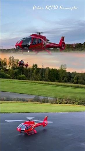 Roban 800 Size EC130 from MotionRC