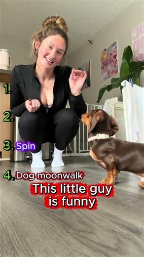 Ranking Top 4 Funniest Dog Tricks #shorts #dogs #dogtricks