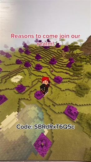 Explore our Minecraft realm with exciting mods and friendly community!