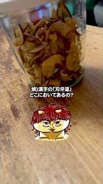 Late-night snack for finals week: chewy, jerky-textured dried apples #FamilyTime #HomemadeSweets ...