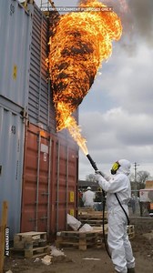 Flamethrower vs. Giant Hornet Nest | Bright Horizons
