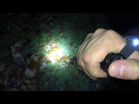 Super Bright 100 Lumens LED Flashlight Review (Dollar Tree Item) 🔦