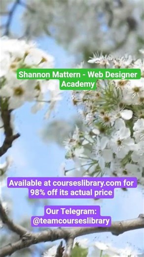 (HAVE) Shannon Mattern - Web Designer Academy