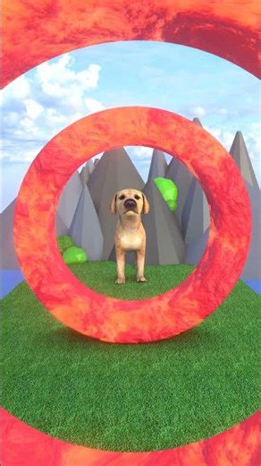 CROSS THE RING OF FIRE WITH THE CUTE PETS, KIDS!#dog #cow #chicken #funny #shots