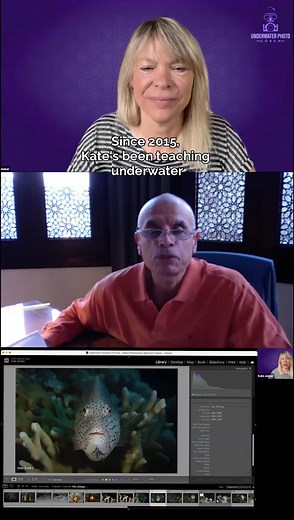 Ever wish underwater photography could be simple? That’s exactly what I help with — so you can stop guessing and start capturing stunning shots on every dive. I’ve been in your fins — confused by settings, frustrated with lighting, and wondering if I’d ever get it right. Now I teach underwater photographers how to Capture with Confidence and Create with Passion — without the overwhelm. And yes… there’s something exciting bubbling behind the scenes. 🤫 🐠 Drop a fish emoji in the comments if you’