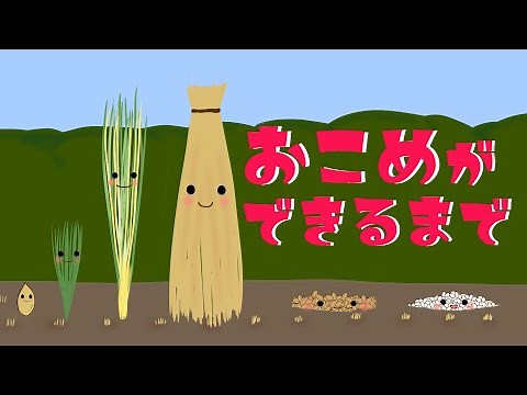 アニメ 知育絵本 読み聞かせ｜残さず食べよう！お米１粒の大切さが学べるお米の成長物語／おこめができるまで（782）