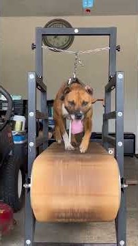 You see it 👀🫡💯⭐️