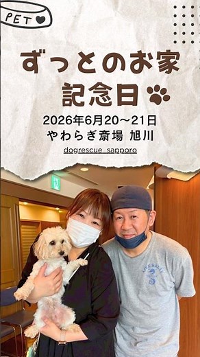 【ご報告】新しい家族の記念日🌸やわらぎ斎場旭川での譲渡会で生まれた幸せなキセキ✨ #保護犬 #保護猫 #ずっとのお家