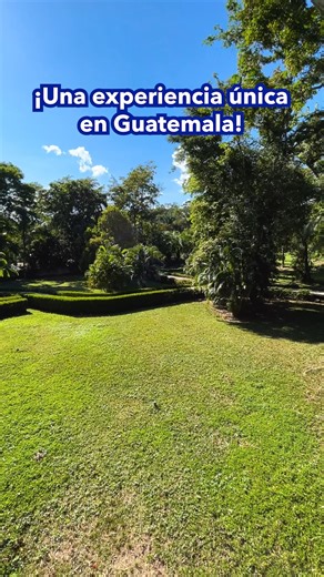 Disfruta de la tranquilidad de Río Dulce. Relájate en nuestras habitaciones, disfruta de la piscina al aire libre y deléitate con nuestra gastronomía. ¡Una experiencia única! 🌴✨ 🏞️ 📞 llámanos al: 502 2424-1818 📱 escríbenos al: 502 5992-7452 #paraisotropical #guatemalatravel #traveltok #HotelMansiónDelRío #Guatemala #Izabal #hospedajeriodulce #hospedaje #MomentosEspeciales #ElMejorDeIzabal #travelviaja | Hotel Mansión del Río