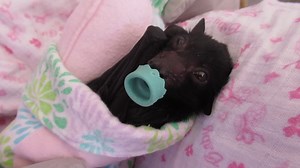 46K views · 3.4K reactions | We were all a little shocked when Kat...