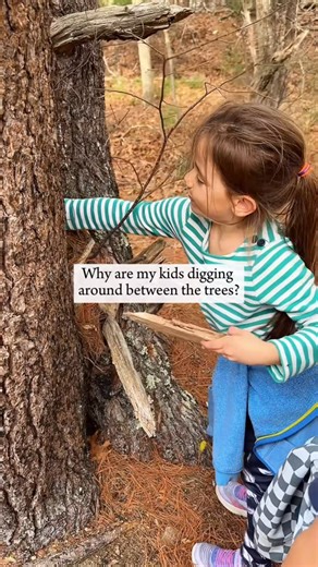 KATHERINE | Exploring New England with kids on Instagram: "This will turn your kids into real-life treasure hunters! Here are the answers to some FAQs. Let me know if you have more questions the comments! 🧐 What exactly is Geocaching? Geocaching is a like a real-life treasure hunt. You download an app to find hidden containers, called cache, at specific locations - you’ll be surprised by how many there actually are! 🕵️ What app do you use? Is it free? We use the @geocaching app It’s free to do