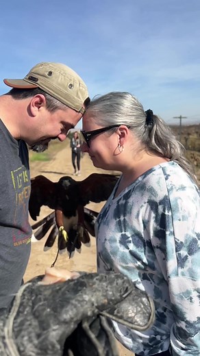 You can book your experience on our website thefalconryexperience.com. #comeflywithis #experienceflight #pasorobles #centralcoast #slo #sanluisobispo #wingsandwine #winecountry #falconry #manuever #experience #harrishawk #thefalconryexperience #takemymoney #ranger #nature #birdwing #birdsarentreal