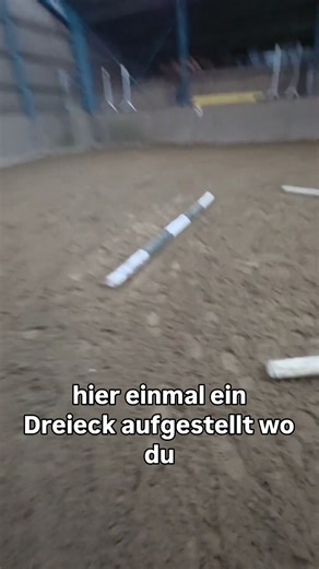 Stangenspaß im Winter 😀 #pferde #springreiten #pony #reiten