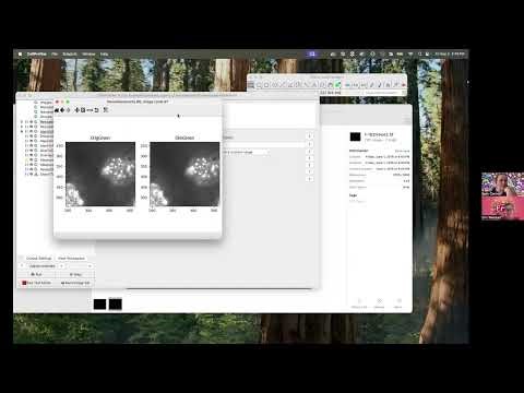 Why Do My Scientific Images Look Ugly!? - AskErinDearBeth Episode 15