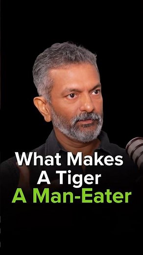 What Makes A Tiger A Man - Eater