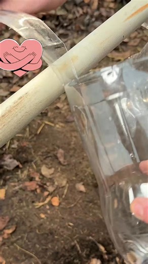 Smart_ Bottle and Stick Planting Hack | diy facts