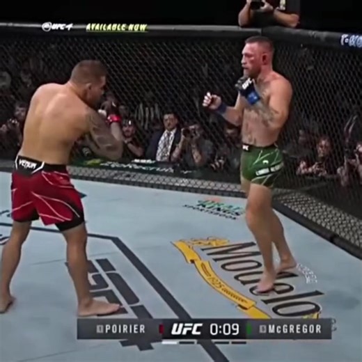 Conor McGregor: UFC Career Highlights & Knockouts