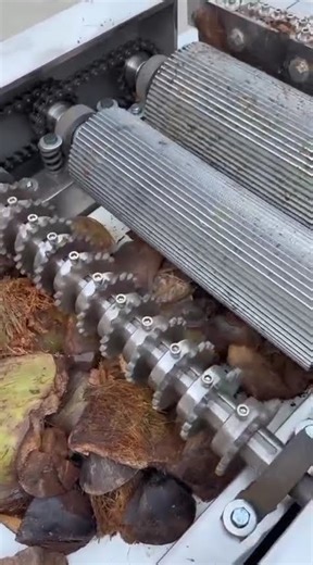 coconut shell cutting process using a machine#shorts