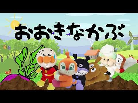 アンパンマンと「おおきなかぶ」おもちゃ/アニメ/知育/バイキンマン/ドキンちゃん/かくれんぼ/アンパンマンミュージアム/ANPANMAN/いないいないばあ/こどものおもちゃ